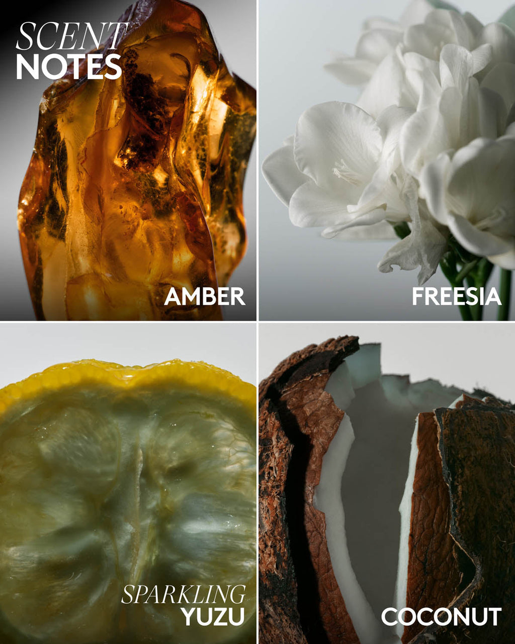 Butta Drop Whipped Oil Body Cream with Tropical Oils + Shea Butter ¡ª Amber Bouquet