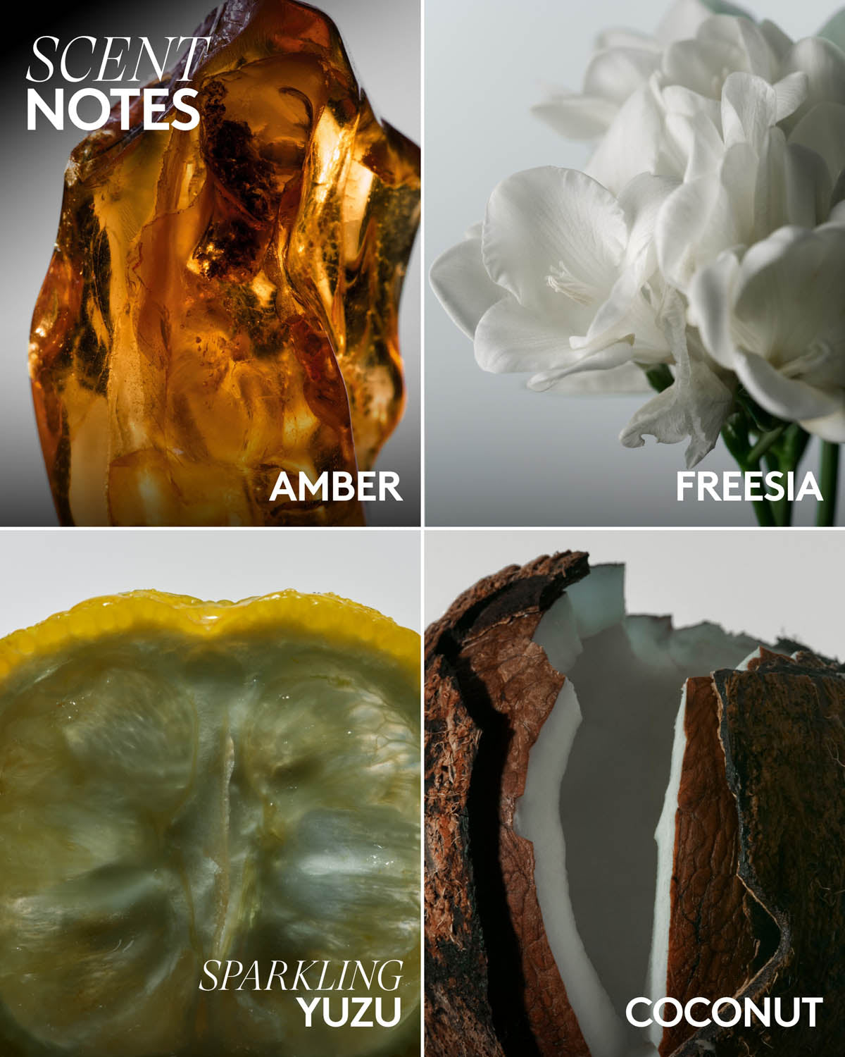 Butta Drop Whipped Oil Body Cream with Tropical Oils + Shea Butter ¡ª Amber Bouquet